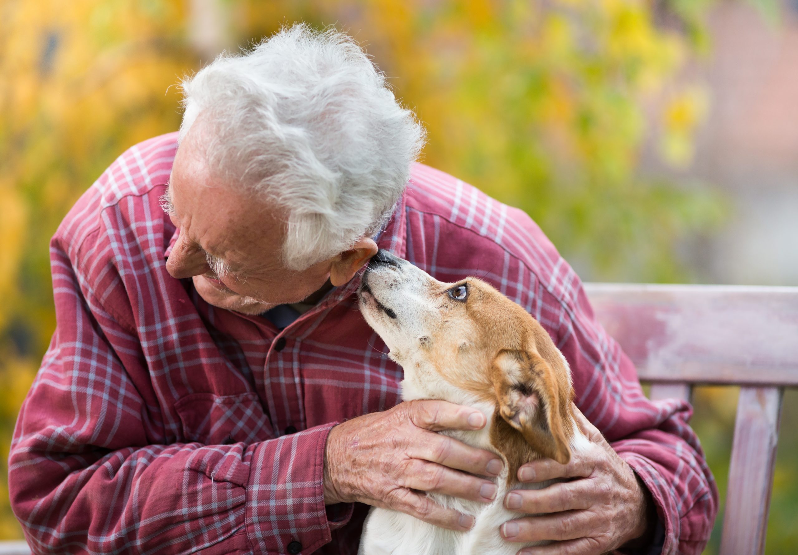 Senior mit Hund zur Illustration von Alltagsbegleitung und Angeboten zur Unterstützung im Alltag